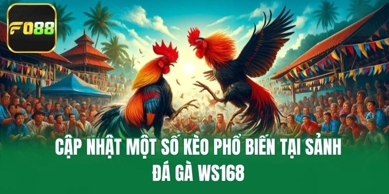 Cập nhật một số kèo phổ biến tại sảnh đá gà ws168